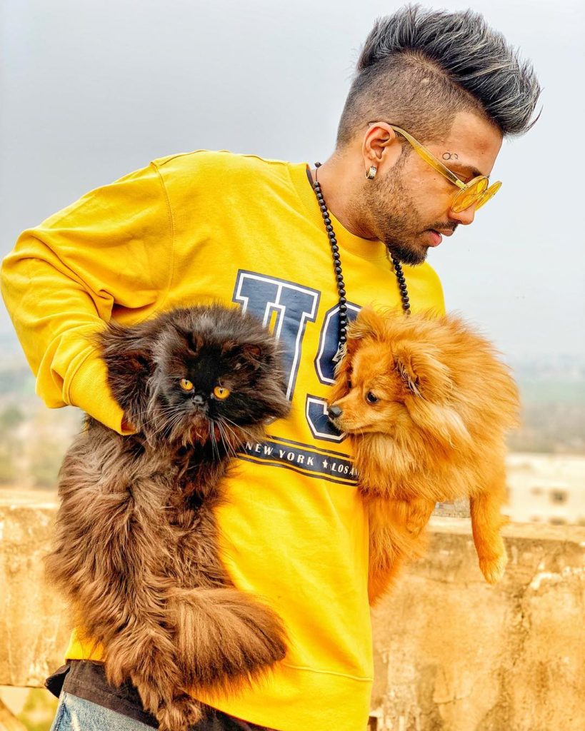 sukh e with dogs