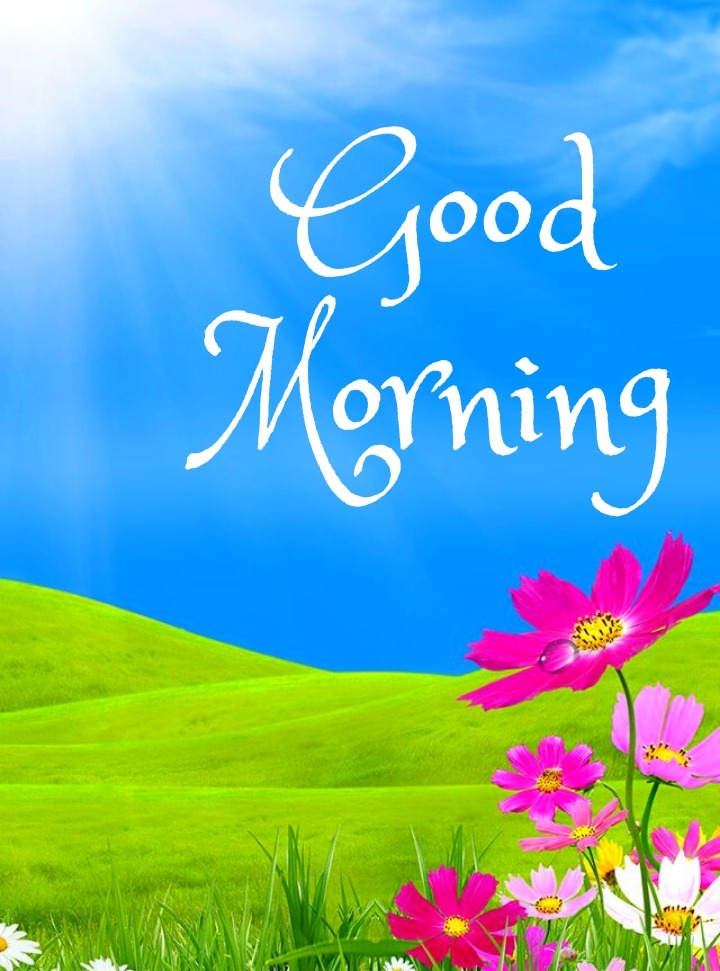 Good Morning Nature Images HD, Quotes Free Download - Image Diamond