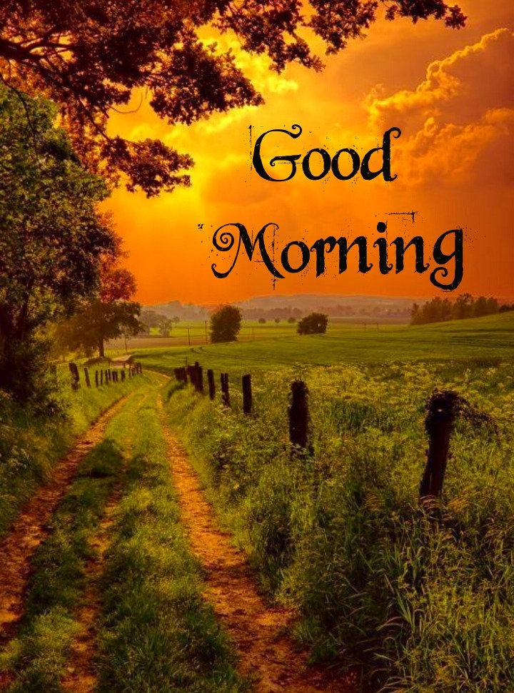 Good Morning Nature Images HD, Quotes Free Download - Image Diamond