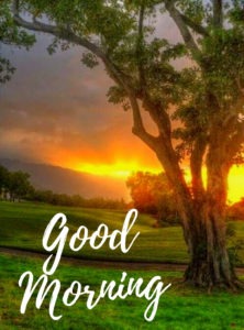 good morning images HD