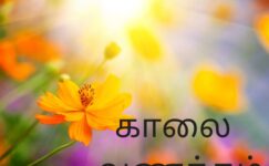 Good Morning Images in Tamil Designed By Punjabi Boy