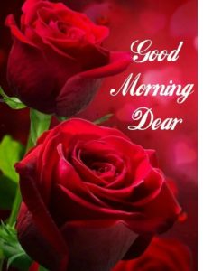 Good morning images with rose flowers