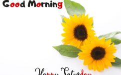 Good Morning Happy Saturday HD Images Free Download