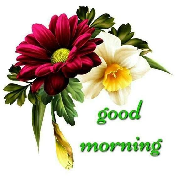 good morning flowers free download