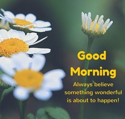 Good morning with flowers images