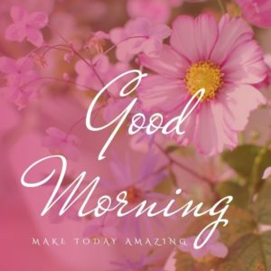 good morning flower images free download HD