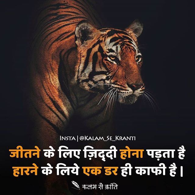 Tiger attitude images download