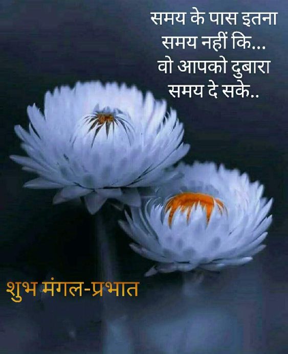 good morning quotes in Hindi font