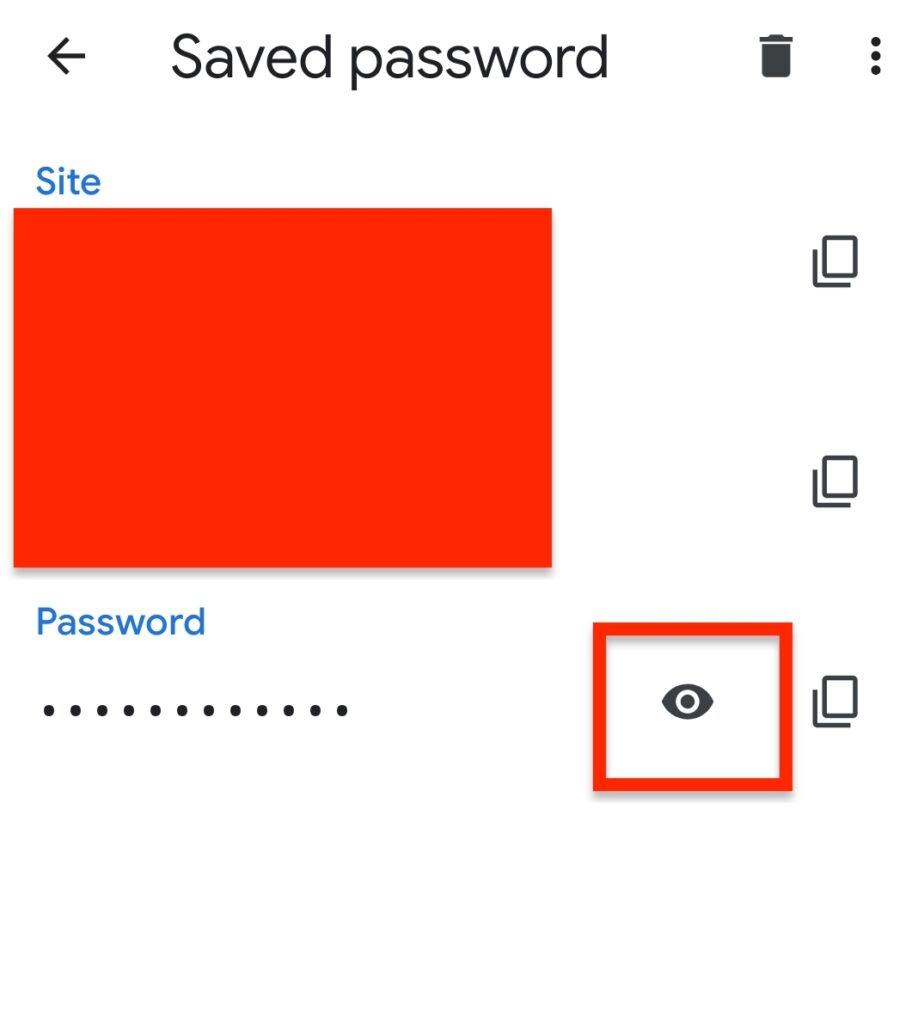 Show password icon