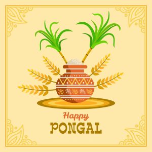 happy pongal images