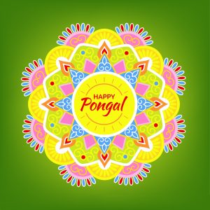 images of pongal festival