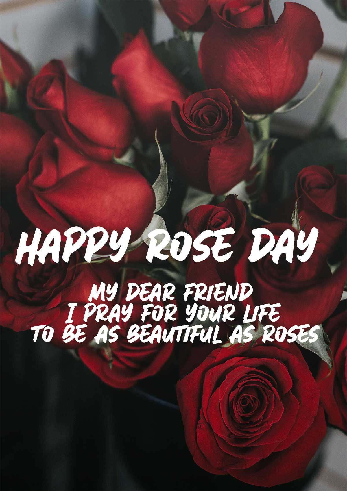 happy rose day 2022 download
