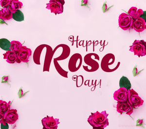 rose day 2022 image download