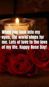 world rose day images