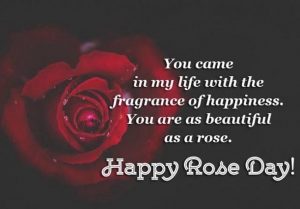 rose day images [currentyear]