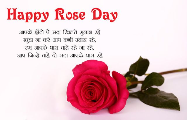 happy rose day status