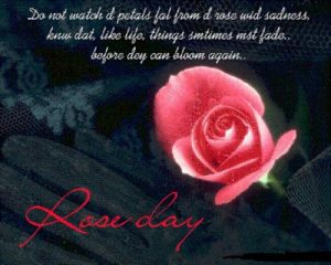 happy rose day ka image