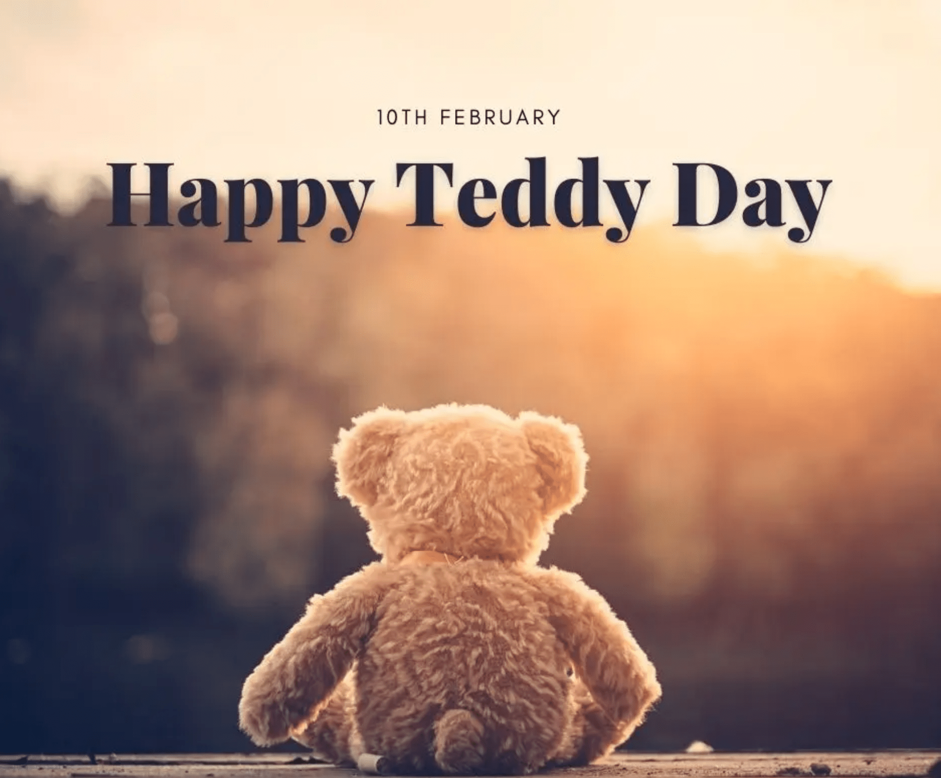 teddy day 2022 images download