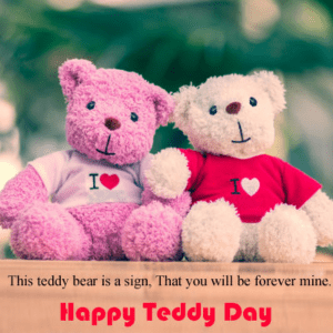 happy teddy day 2022 images download