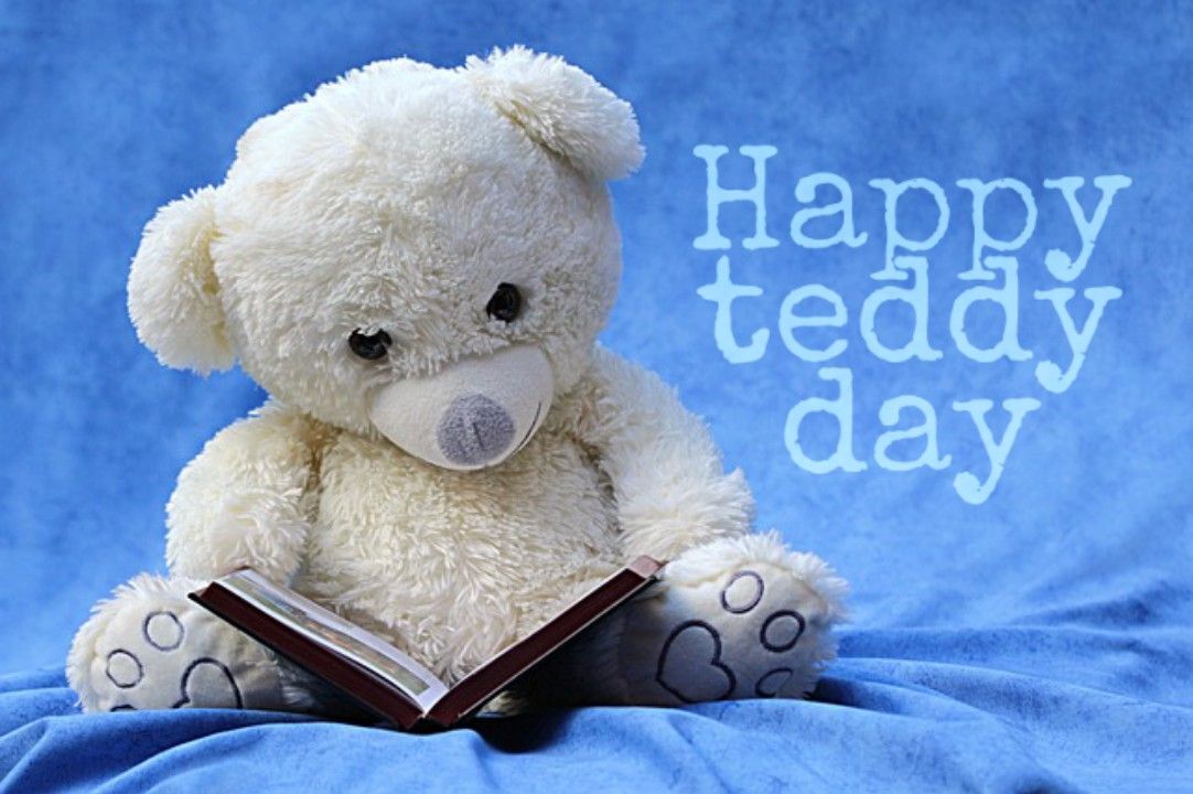 Teddy day images 2022 download