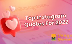 250+ Top Quotes For Instagram Posts 2024