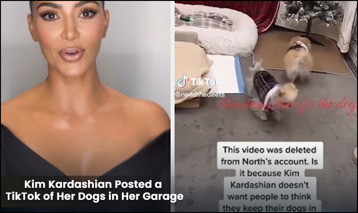Kim Kardashian Posted a TikTok of Her Dogs in Her Garage: