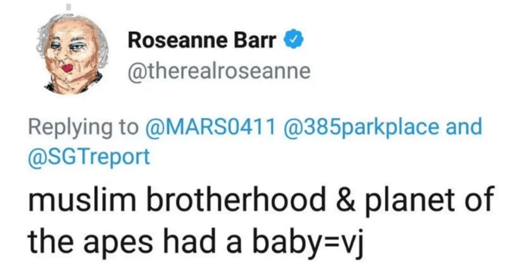  Roseanne Barr recently blasted the entertainment industry's culture
