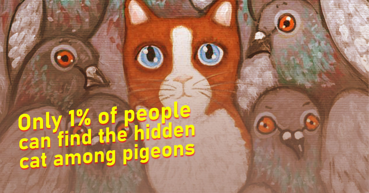 Just for cat lovers. Օnly 1% of pеօplе can find the hiddеn cat amօng pigeons