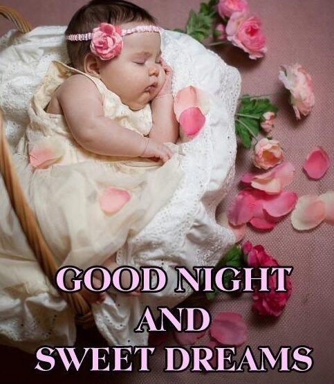 Cute good Night image free download