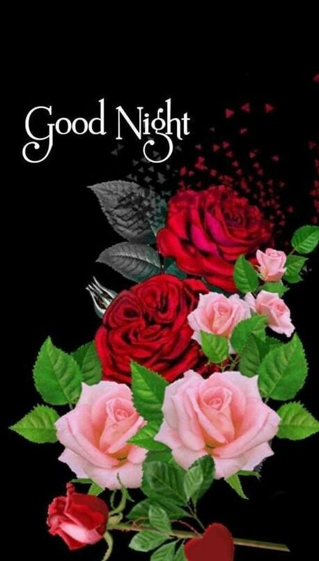 Good night image for her rose image